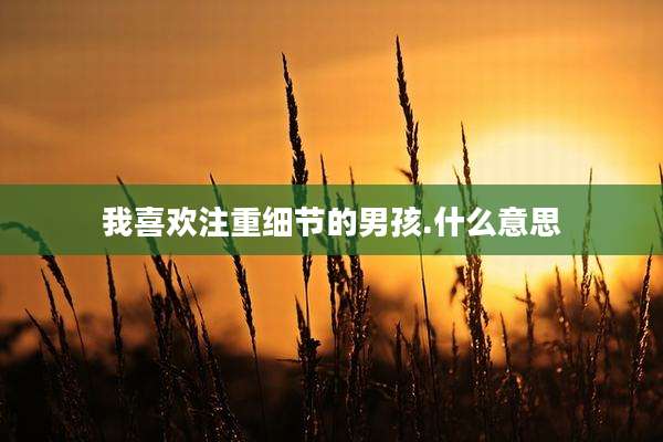 我喜欢注重细节的男孩.什么意思