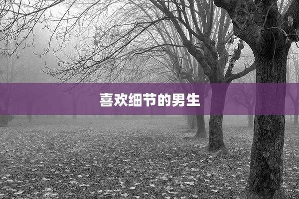 喜欢细节的男生