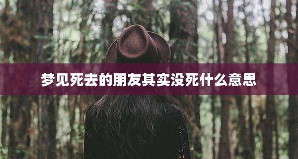 梦见死去的朋友其实没死什么意思