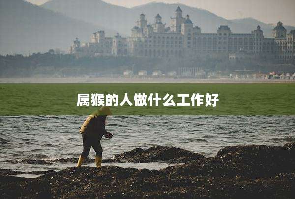 属猴的人做什么工作好