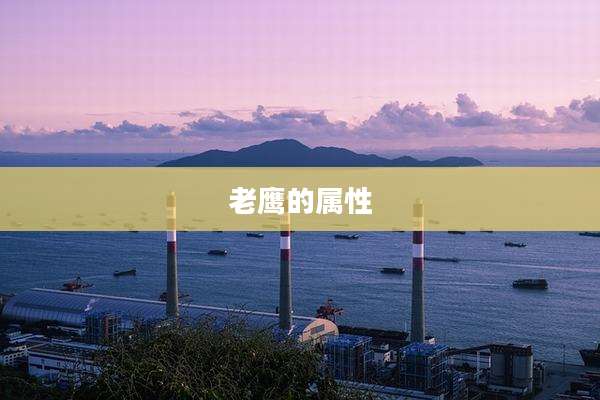 老鹰的属性