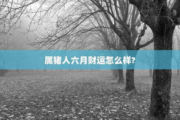 属猪人六月财运怎么样?