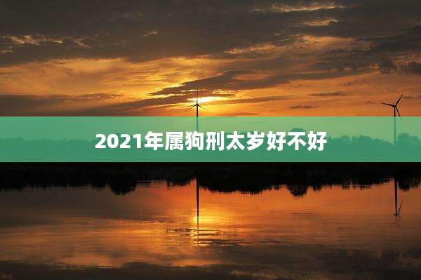 2021年属狗刑太岁好不好