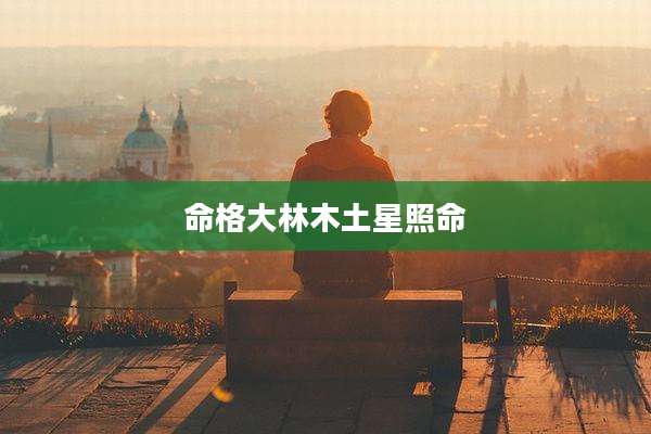 命格大林木土星照命
