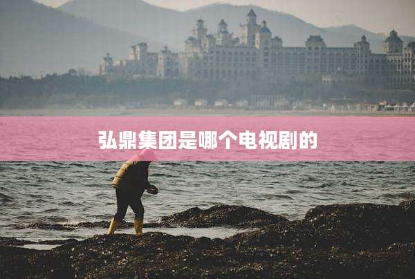 弘鼎集团是哪个电视剧的