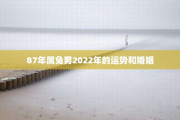 87年属兔男2022年的运势和婚姻