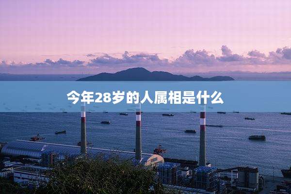 今年28岁的人属相是什么