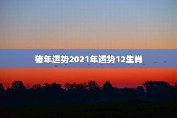 猪年运势2021年运势12生肖