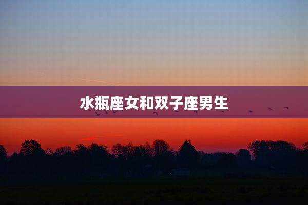 水瓶座女和双子座男生