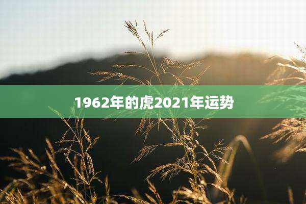 1962年的虎2021年运势