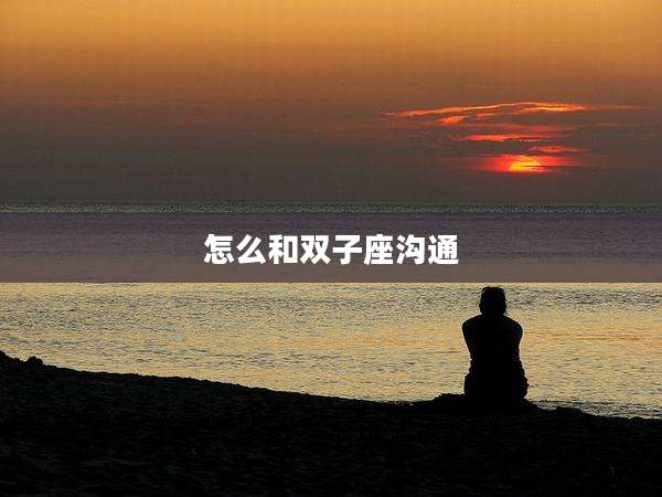 怎么和双子座沟通