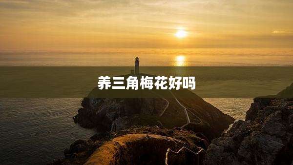 养三角梅花好吗
