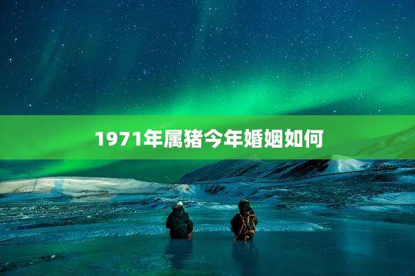 1971年属猪今年婚姻如何