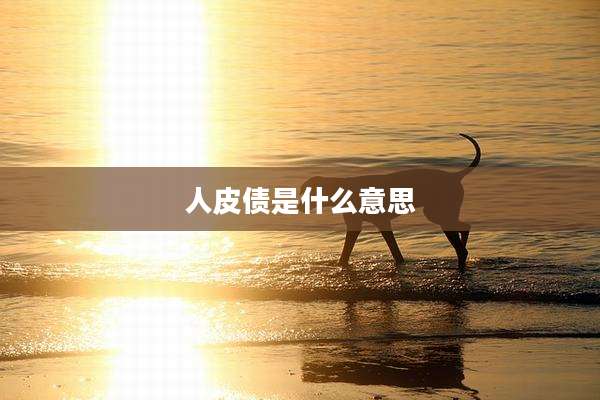 人皮债是什么意思
