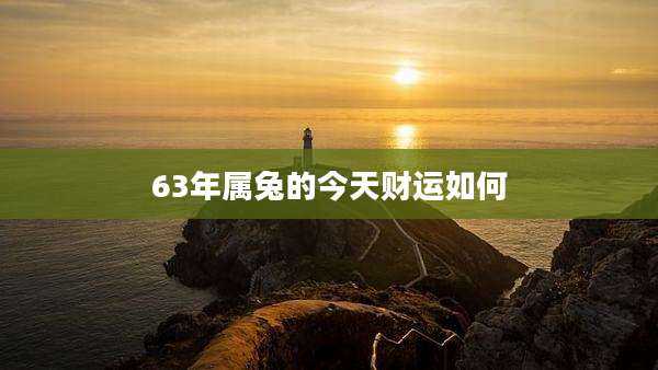 63年属兔的今天财运如何