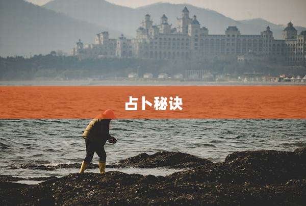 占卜秘诀