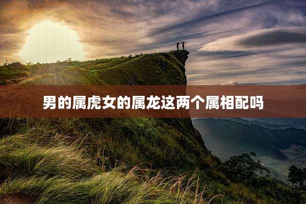 男的属虎女的属龙这两个属相配吗