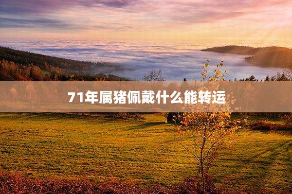 71年属猪佩戴什么能转运