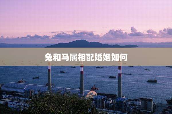 兔和马属相配婚姻如何