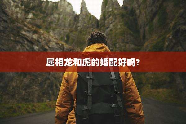 属相龙和虎的婚配好吗?
