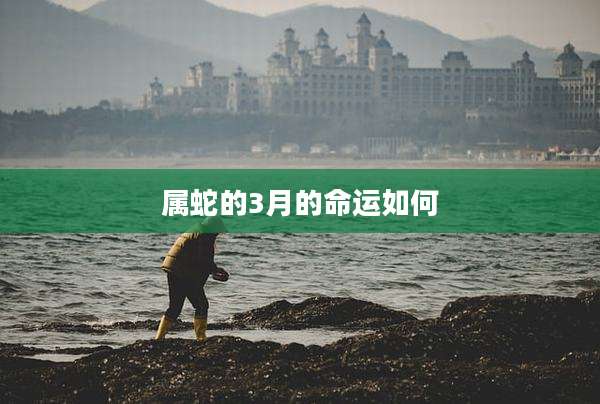 属蛇的3月的命运如何