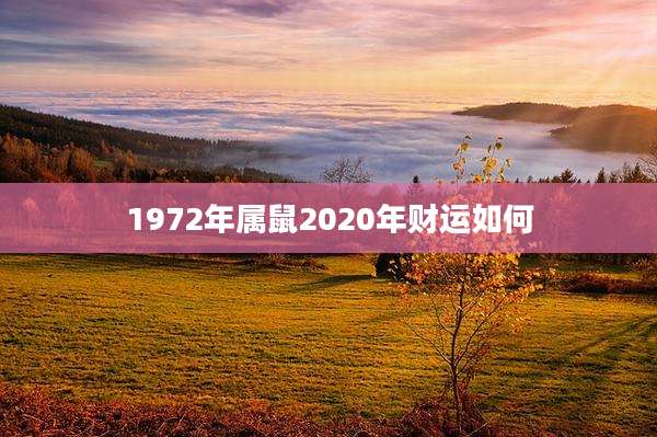 1972年属鼠2020年财运如何