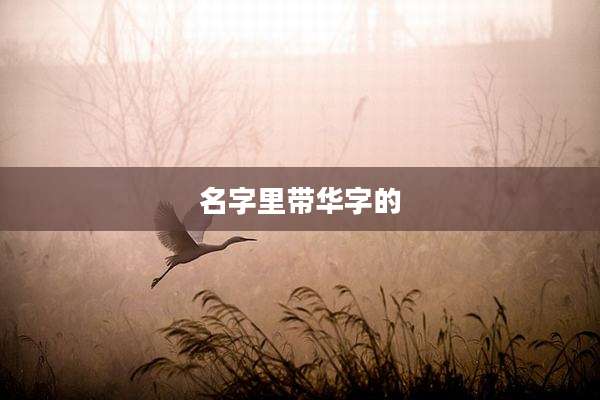 名字里带华字的
