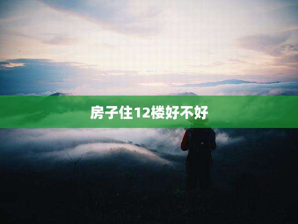 房子住12楼好不好