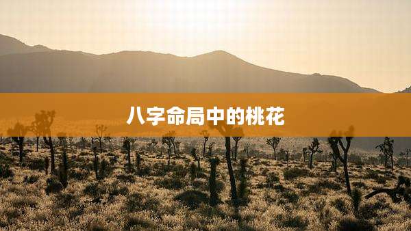 八字命局中的桃花