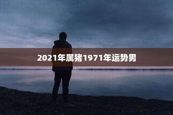 2021年属猪1971年运势男