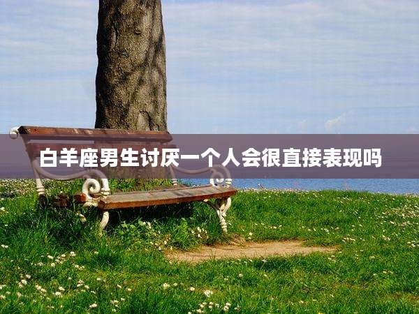 白羊座男生讨厌一个人会很直接表现吗