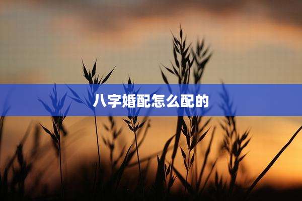 八字婚配怎么配的