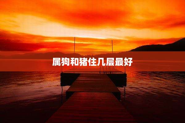 属狗和猪住几层最好