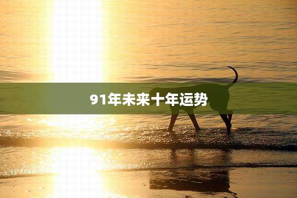 91年未来十年运势