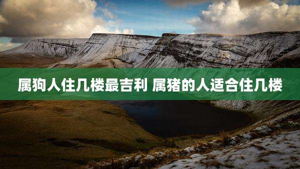 属狗人住几楼最吉利 属猪的人适合住几楼