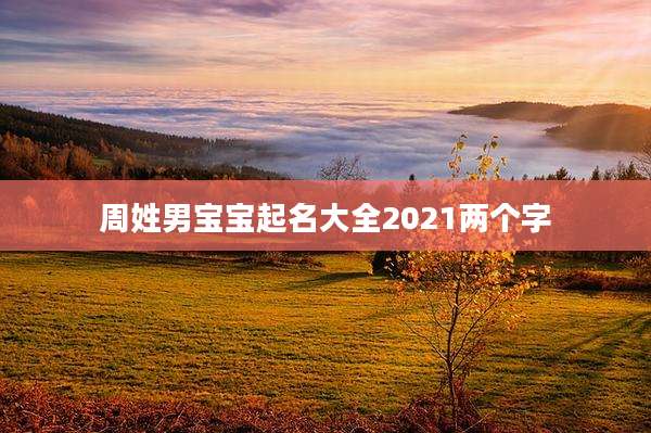 周姓男宝宝起名大全2021两个字