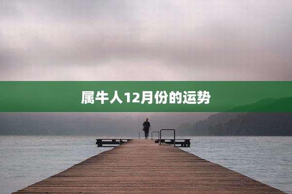 属牛人12月份的运势