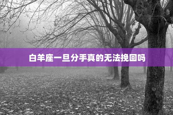 白羊座一旦分手真的无法挽回吗