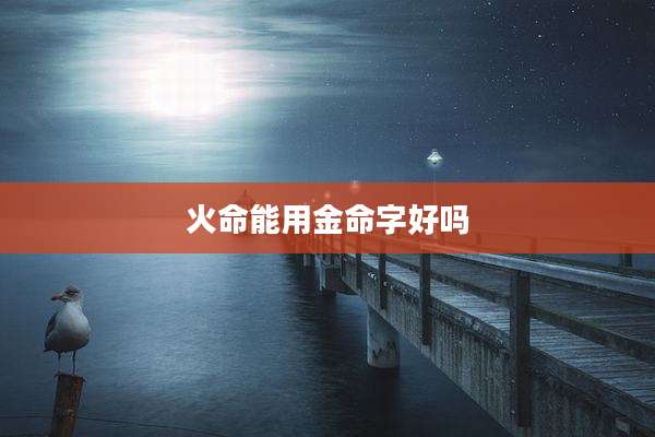 火命能用金命字好吗