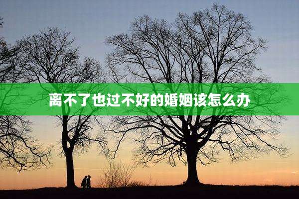 离不了也过不好的婚姻该怎么办