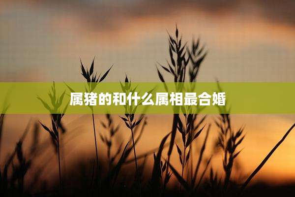 属猪的和什么属相最合婚