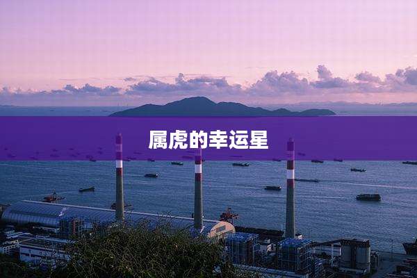 属虎的幸运星