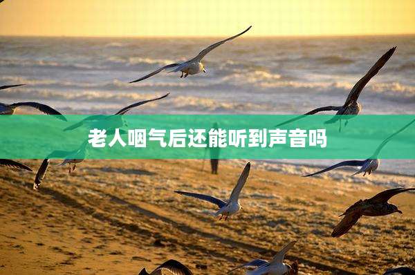 老人咽气后还能听到声音吗
