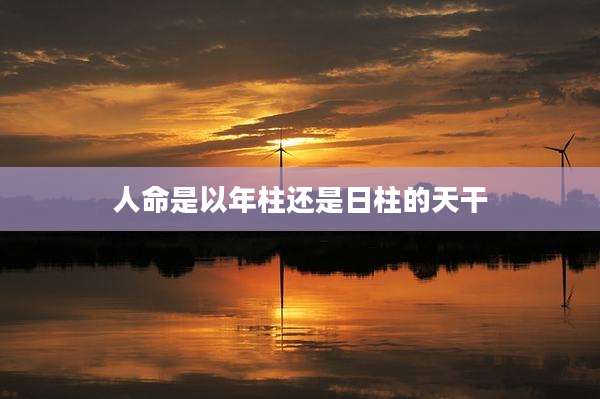 人命是以年柱还是日柱的天干