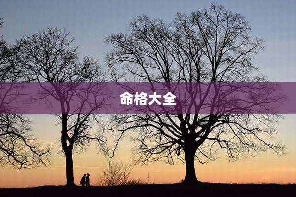 命格大全