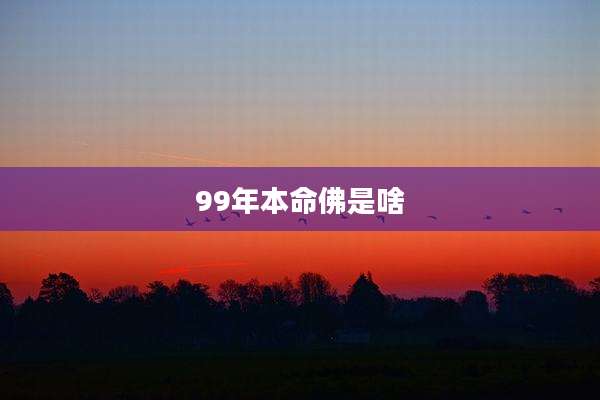 99年本命佛是啥