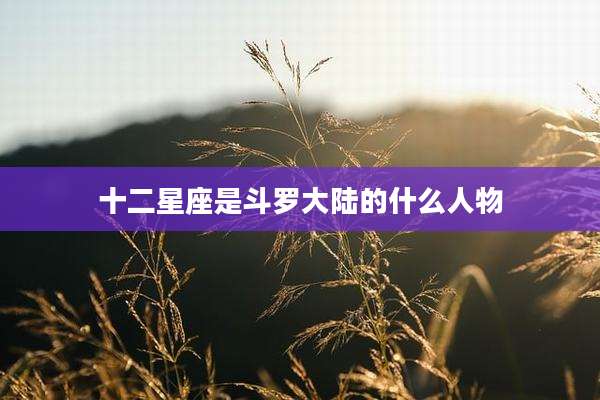 十二星座是斗罗大陆的什么人物