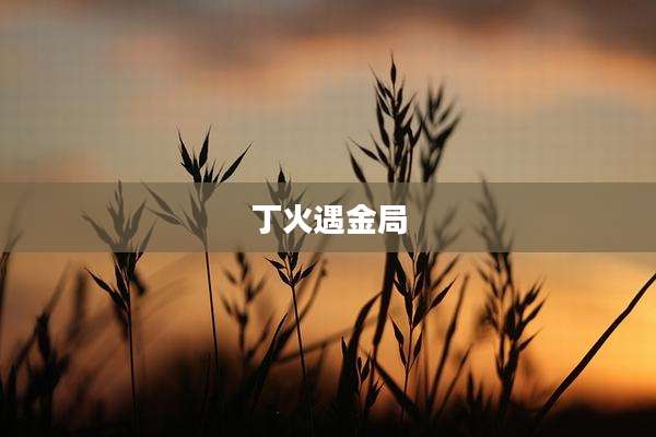 丁火遇金局