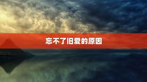 忘不了旧爱的原因