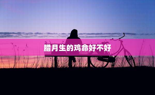 腊月生的鸡命好不好